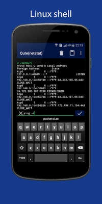 Qute: Эмулятор терминала screen 2